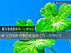 《三年后你的事业是直接上升一大步吗？》测试