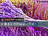 《测谁是你的福星or克星》测试