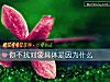 《你不找<i>对象</i>具体是因为什么》测试