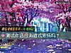《测试你<i>适合</i>消遣式爱情吗？》测试