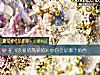 《在《亲爱的热爱的》中你会是哪个<i>角色</i>》测试