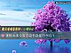 《测你未来女友会动不动提<i>分手</i>吗？》测试