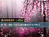 《测一测你年底会遇到哪种类型的<i>桃花</i>》测试