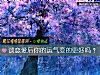 《谈<i>恋爱</i>后你的运气变的更好吗？》测试