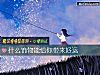 《什么饰物能给你带来<i>好运</i>》测试