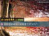 《测你容<i>易被</i>别人贴标签下定义吗？》测试