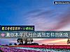 《测你<i>本年</i>八月会遇到怎样的困境》测试