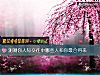 《测测你<i>人际</i>交往中哪些人和你最合得来》测试