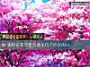 《测你在本年里会遇见几个<i>心仪</i>的ta》测试