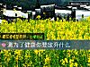 《测为了健康你要<i>放弃</i>什么》测试