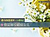 《你是哪位超级女生》测试