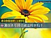 《测你本年终会被迫相亲吗？》测试