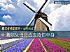《测你父母会否支持你<i>单身</i>》测试