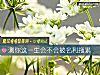 《测你这<i>一生</i>会不会被名利拖累》测试