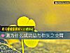 《测为什么成功总与你失之交臂》测试