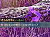 《测你们的<i>感情</i>会在冷战中结束吗？》测试