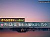 《舌战群儒 测你的嘴炮能打几个》测试