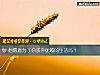 《他愿意为了你<i>放弃</i>优越的生活吗？》测试