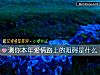 《测你本年<i>爱情</i>路上的阻碍是什么》测试