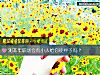《测本年职场会有小人给你使绊子吗？》测试