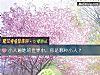 《<i>小人</i>遍地的世界中，你是哪种<i>小人</i>？》测试