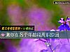 《测你在各个年龄段离职原因》测试