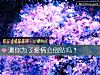 《测你为了<i>爱情</i>会倒贴吗？》测试