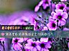 《测本年你的表现能让上司满意吗？》测试