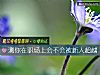 《测你在职场上会不会被新人超越》测试