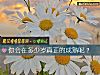 《你会在多少岁真正的成熟呢？》测试