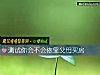 《测试你会不会依靠父母<i>买房</i>》测试