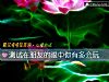 《测试在朋友的<i>眼中</i>你有多会玩》测试