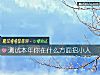 《测试本年你在什么方面招<i>小人</i>》测试
