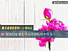 《测试你能够在不公平的职场中待多久》测试
