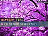 《测你男友具备让你<i>幸福</i>的实力吗？》测试