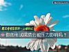 《你的考试成绩会被<i>压力</i>影响吗？》测试