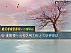《测需要<i>付出</i>多久努力你才会获得收获》测试