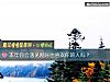 《本年你会遇见刚好也<i>喜欢</i>你的人吗？》测试