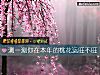 《测一测你在本年的<i>桃花运</i>旺不旺》测试