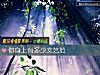 《你<i>身上</i>有多少文艺范》测试