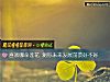 《<i>喜欢</i>哪朵莲花 测你未来发展前景好不好》测试