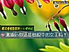 《测婚后你还是他眼中的女王吗？》测试
