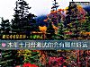《本年十月份测试你会有哪些<i>好运</i>》测试
