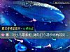 《哪一对小鸟最般配 测你们会越吵<i>感情</i>越好吗？》测试