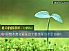 《你想不想知道在这个夏季你会不会<i>如意</i>！》测试