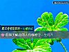 《你和天蝎座的人有缘相守<i>一生</i>吗？》测试