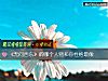 《《无问西东》的哪个人物和你性格最像》测试