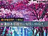 《测你本年双十一有钱扫货吗？》测试