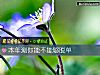 《本年测你能不能够<i>脱单</i>》测试