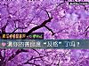 《测你的善良度“及格”了吗？》测试
